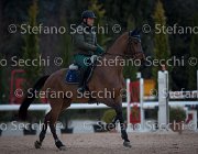 Cantlena FZ Tosc Tour2013- S5 1803 : Arezzo, Cantlena FZ, Cavalli d'Italia, Toscana Tour 2013, foto di Stefano Secchi ©